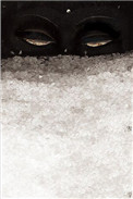 见雪清